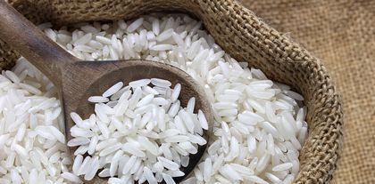 쌀 단백질 분말의 효과