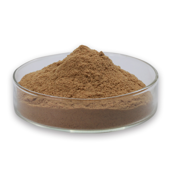 Strychni 씨앗 추출물